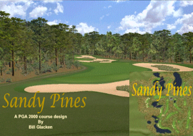 Sandy Pines